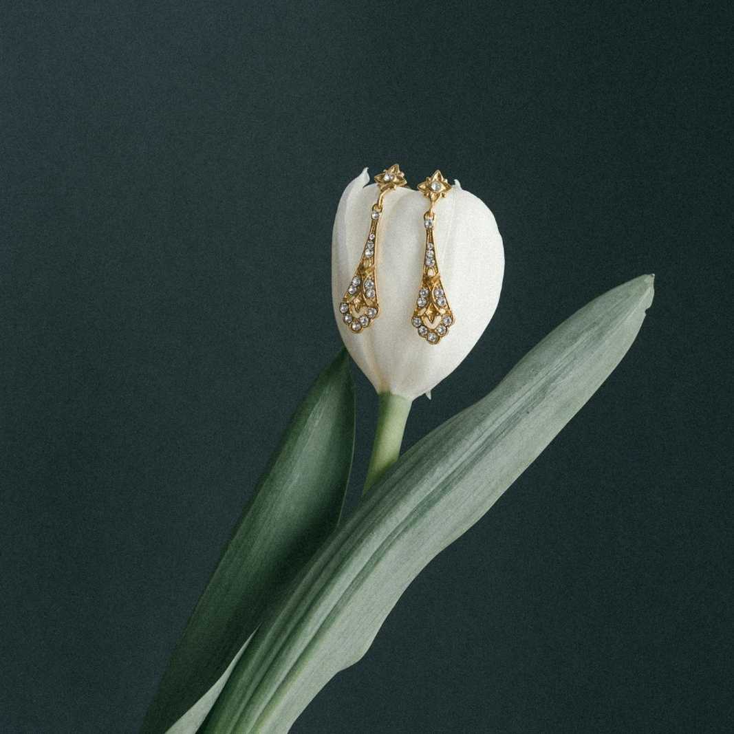 Pendientes Parisienne brillo